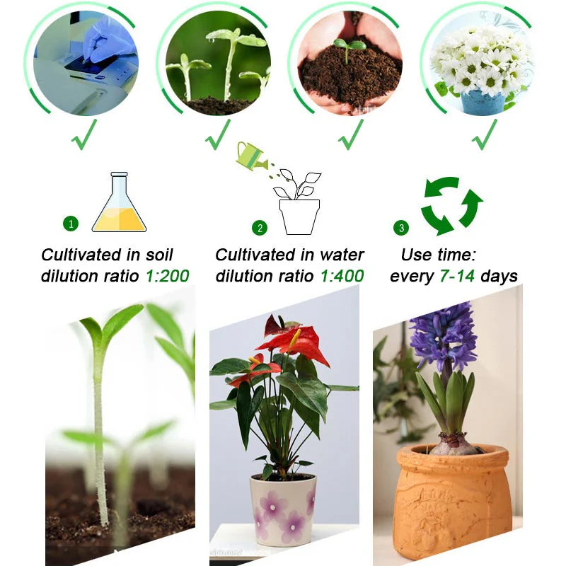 Ser crestere si renastere plante - VerdoMax