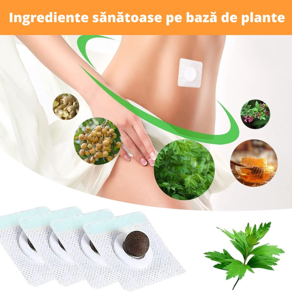 Plasturi de detoxifiere ( 30 de buc)